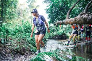 BIB: 
                            <button type="button" onclick="openModal(25445576)" class="btn btn-primary btn-sm float-right btn-popup" data-toggle="modal" data-target=".modal-high-quality">
                        <i class="fas fa-shopping-cart"></i> Add to Cart
                    </button>
                                            <button type="button" onclick="isThisMe(25445576, true)" class="btn btn-success btn-sm float-right btn-popup btn-isme hidden" data-toggle="tooltip" data-placement="bottom" title="นี่คือรูปของคุณใช่ไหม คลิกที่นี่เพื่อเอาเข้าอัลบั้ม">
                        <i class="fas fa-plus"></i> Add to album
                    </button>
                    <button type="button" onclick="isThisMe(25445576, false)" class="btn btn-warning btn-sm float-right btn-popup btn-isnotme hidden">
                        <i class="fas fa-ban"></i> Remove from album
                    </button>